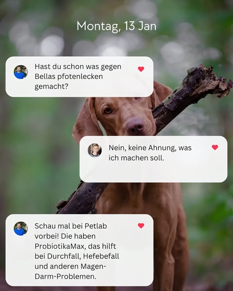 A social-media style interface creative featuring a dialogue about pet paw licking and a product recommendation for gut health.